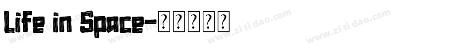 Life in Space字体转换